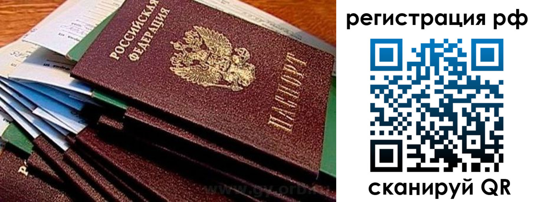 прописка гарантия в Краснодаре